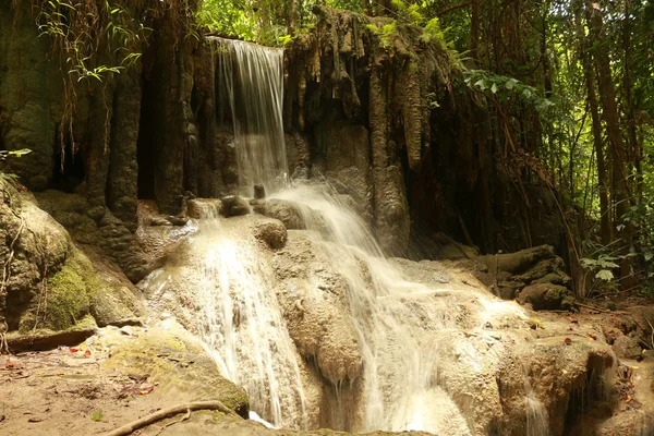 Cachoeira e floresta — Fotografia de Stock