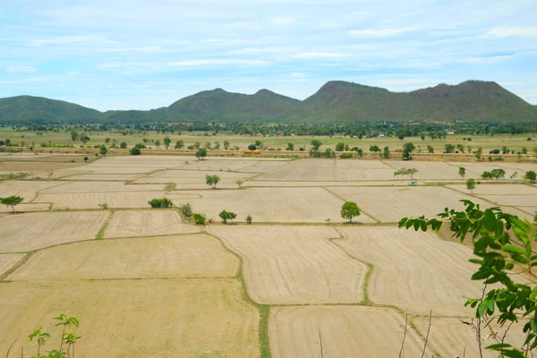 Veld — Stockfoto