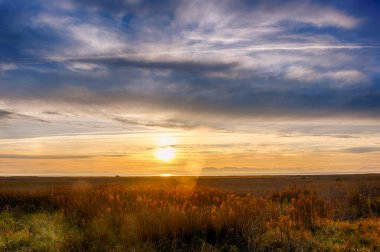 Güzel HDR gün batımı manzarası. Batan güneş bulutlarda güneş ışınları oluşturur. Lens alevi görünüyor. Çim tarlası ve ağaç gövdeleri ön planda. Arka planda dağlar var. 