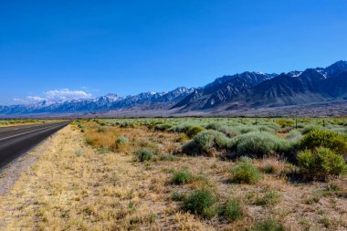 Güzel Sierra Nevada sıradağları çölle buluşuyor. Çöl çalıları ve çimenler ön planda. Mavi, güneşli gökyüzü. 