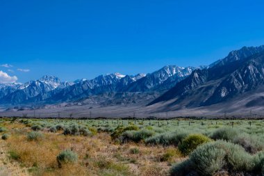 Güzel Sierra Nevada sıradağları çölle buluşuyor. Çöl çalıları ve çimenler ön planda. Mavi, güneşli gökyüzü. 