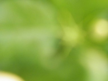 Soyut hafiflik doğa arka plan tasarımı, doku, yeşil.