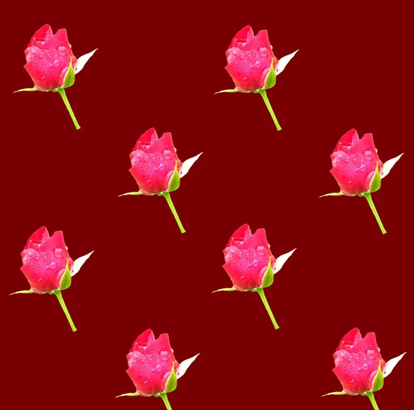 顶部Veiw 红色背景下的红玫瑰花纹花纹设计 装饰情人节概念 爱情之花 — 图库照片