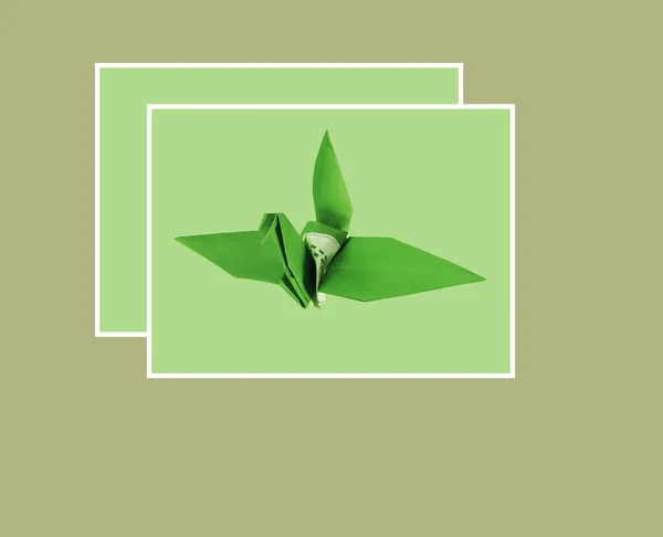 Зроблено Дизайн Концепції Вітальна Листівка Зеленим Папером Птах Пастельному Зеленому — стокове фото