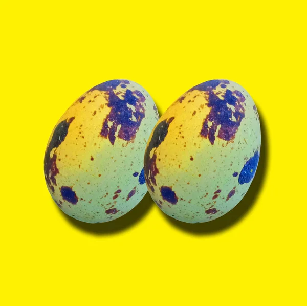 Vista Superior Dos Huevos Codorniz Marrón Aislado Amarillo Para Fondo — Foto de Stock