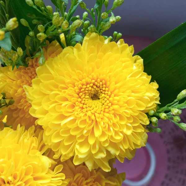 Gelbe Chrysanthemenblüte Mit Grünem Blatt Verschwimmt Hintergrund Für Archivfoto Sommerblumen — Stockfoto