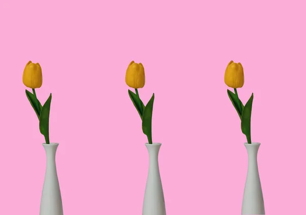 Set Kollektion Drei Gelbe Tulpenblume Weißem Topf Isloated Hintergrund Für — Stockfoto