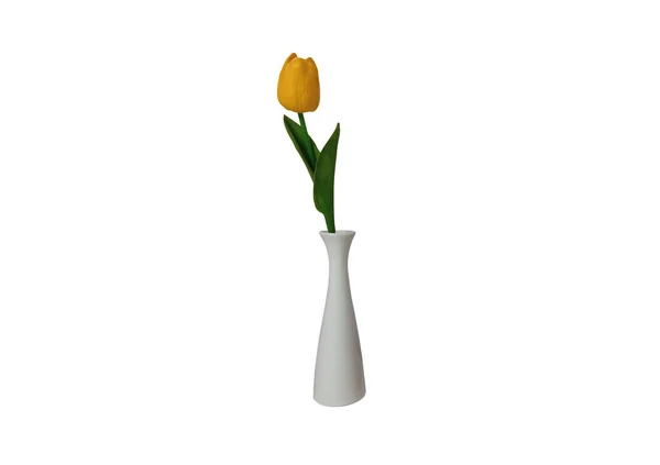 Único Amarelo Tulipa Flor Vaso Branco Isloated Fundo Para Design — Fotografia de Stock