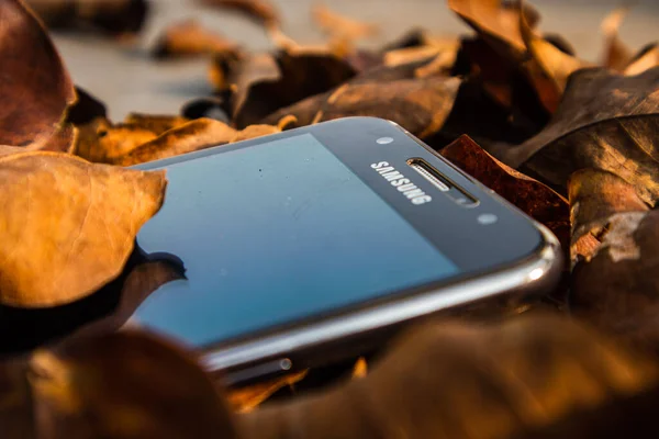 bogor,indonesia - 07 july 2021 : samsung mobile on a pile of dry leaves with morning light