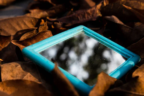 glass on a pile of dry leaves in the morning sun