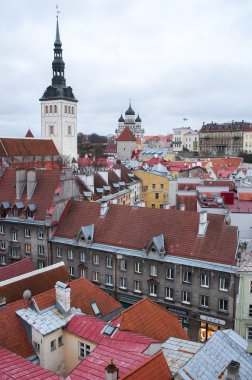 Tallinn - Old Town. Belediye Binası görünümünden.