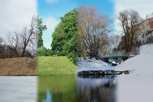 Lente, zomer, herfst en winter in één foto — Stockfoto