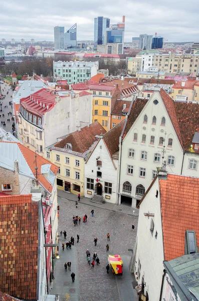 Tallinn - staré město. Pohled z radnice. — Stock fotografie