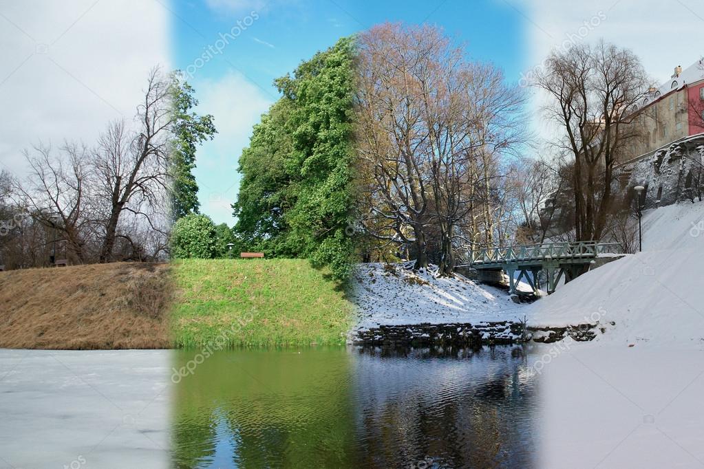 Spring, summer, autumn and winter in one photo — Stock Photo © DAKfoto