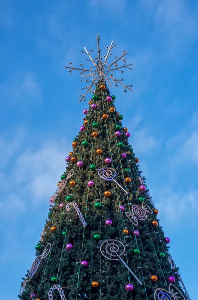 Árbol de Navidad en la plaza de la capital de Lituania. Vilna. . —  Fotos de Stock