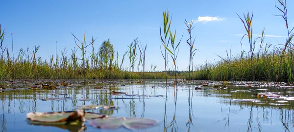 Kuzey Avrupa doğal manzara.