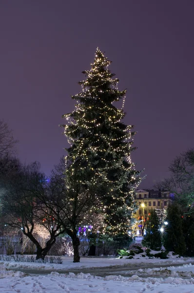 Winter Riga. 31 de diciembre de 2014. Año Nuevo . —  Fotos de Stock