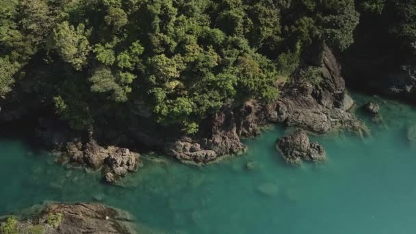 Drone Aéreo Dolly Inclinar Para Baixo Tropical Ilha Palmeira Oceano — Vídeo de Stock