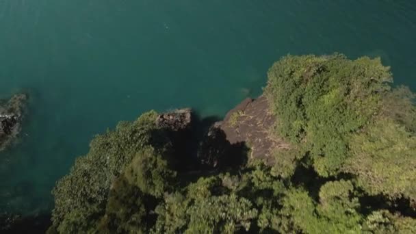 Aerial Drone Dolly Tilt Tropical Island Palm Tree Ocean Beach — Vídeos de Stock
