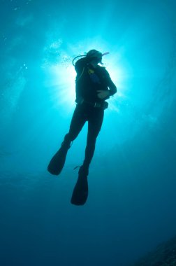 Silüetli dalgıç derin mavi okyanusta yüzer. 