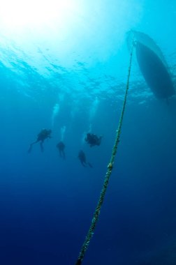 Silüetli dalgıçlar derin mavi okyanusta yüzerler. 