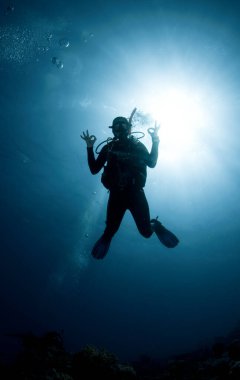 Silüetli dalgıç derin mavi okyanusta yüzer. 