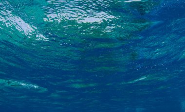 berrak mavi sularda kabarcıklar