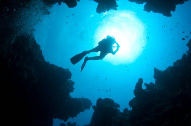 Silüetli dalgıçlar derin mavi okyanusta yüzerler. 