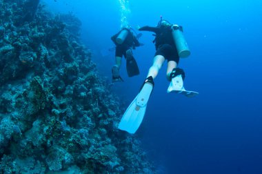 Derin mavi okyanusta mercan resifleriyle yüzen dalgıçlar. 