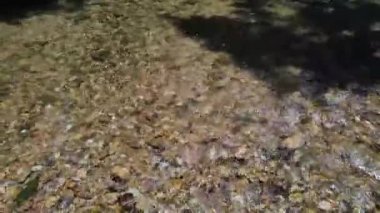 Ormanın en güzel dağ nehri manzarası.