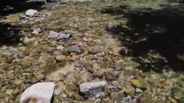 Ormandaki güzel dağ nehrinin hava aracı görüntüsü.