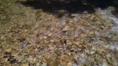 Ormanın en güzel dağ nehri manzarası.