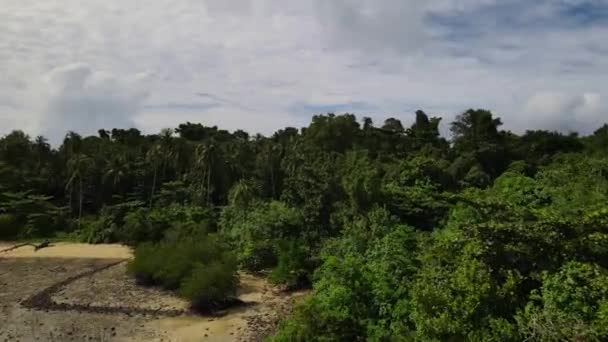 Повітряний Безпілотник Знімок Зеленого Тропічного Лісу — стокове відео
