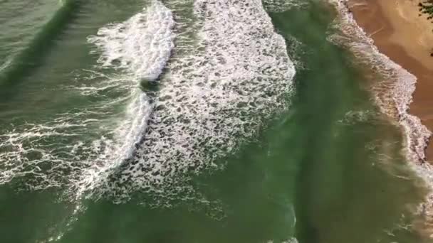 砂浜の海岸線に打ち寄せるターコイズブルーの海の波が美しい映像のドローンビュー — ストック動画