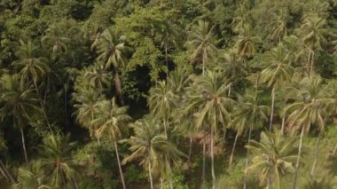 Koh Chang Adası, Tayland