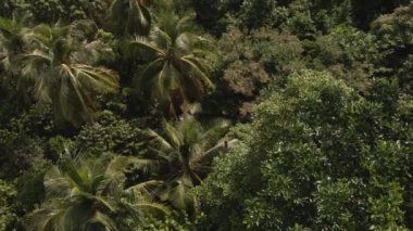 Koh Chang Adası, Tayland