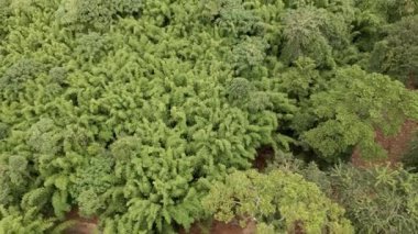 Koh Chang Adası, Tayland