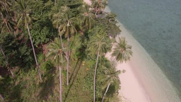 Ilha Koh Chang Tailândia — Vídeo de Stock