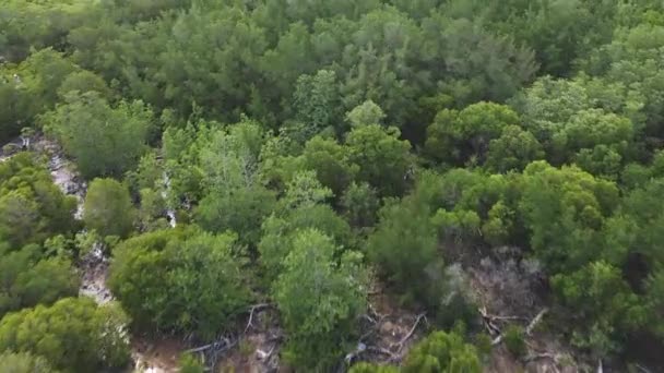 Koh Chang île, Thaïlande