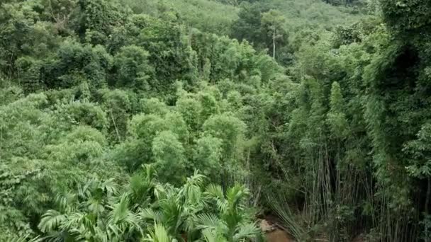 Νήσος Koh Chang Ταϊλάνδη — Αρχείο Βίντεο