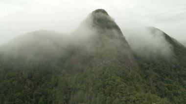 Dağ yağmur ormanlarının sisli 4K hava aracı görüntüleri