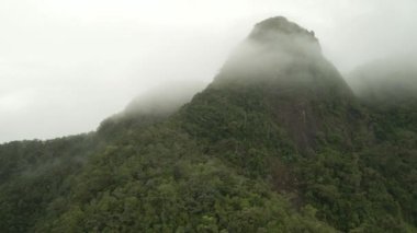 Dağ yağmur ormanlarının sisli 4K hava aracı görüntüleri
