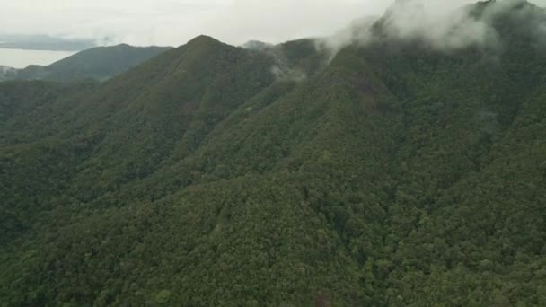 Imágenes aéreas de drones 4K de la selva tropical montañosa con niebla — Vídeos de Stock