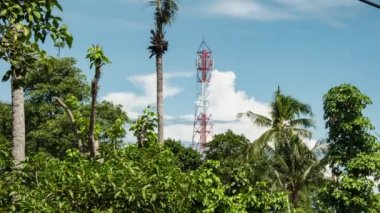 Ormanın telefon vericili 4K hızlandırılmış görüntüleri