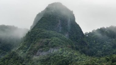 Dağ yağmur ormanlarının sisli 4K zaman atlamalı görüntüsü