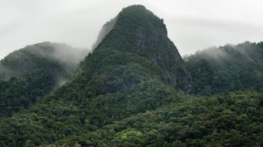 4K zaman aşımlı dağ yağmur ormanları ve karamsar bir gün.