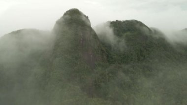 Dağ zirvesinin yağmur ormanı ve sisli 4K hava aracı görüntüleri