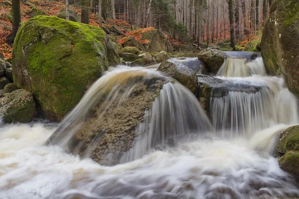 Cascade on the river in Bohemia — Stock Photo, Image