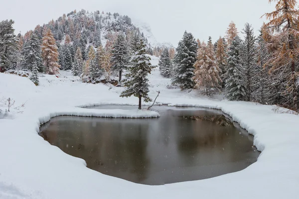 Romantische besneeuwde lake — Stockfoto