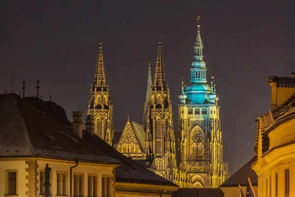 St. Vitus-katedralen . – stockfoto